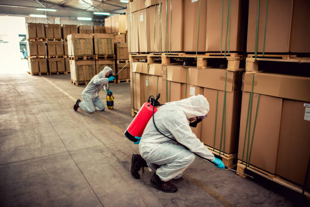Best Cockroach Control Services  in Refugio, TX