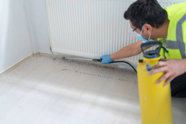 Best Best Pest Control Companies  in Refugio, TX