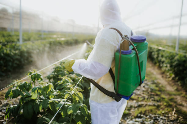 Best Affordable Pest Control Services  in Refugio, TX